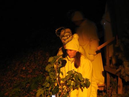 Utrinki iz 1. predstave odigrane na sveti večer, 24.12.2018 40